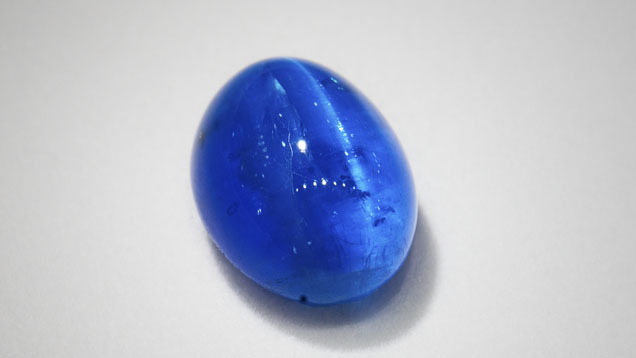Blue Cat