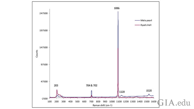 Figure: 5 - Spectra of the dyed shell with the missing polyenic peaks at ~1120 cm-1 & 1520 cm-1, compared to that of a naturally colored Melo species pearl.