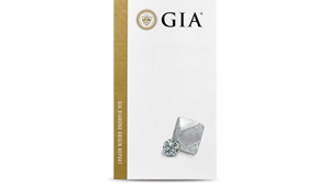 IMG - PR - GIA logo 300x169 IMG - PR - GIA logo 300x169