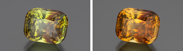 Figure 6. An unusual 6.95 ct cushion-cut bicolor alexandrite from Madagascar displaying a color change from yellowish green and reddish brown in daylight (left) to yellowish orange and orangy brown in incandescent illumination (right). Photos by Robert Weldon; courtesy of Bryan Lichtenstein, 3090 Gems, LLC. Figure 6. An unusual 6.95 ct cushion-cut bicolor alexandrite from Madagascar displaying a color change from yellowish green and reddish brown in daylight (left) to yellowish orange and orangy brown in incandescent illumination (right). Photos by Robert Weldon; courtesy of Bryan Lichtenstein, 3090 Gems, LLC.
