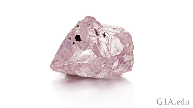 タンザニアのWilliamson(ウィリアムソン)鉱山から採掘された23.16カラットのピンクダイヤモンド。 写真提供:Petra Diamonds(ペトラダイヤモンド) タンザニアのWilliamson(ウィリアムソン)鉱山から採掘された23.16カラットのピンクダイヤモンド。 写真提供:Petra Diamonds(ペトラダイヤモンド)