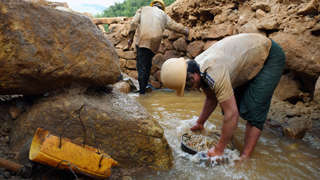 Burmese miner washes samples collected from gravel Burmese miner washes samples collected from gravel