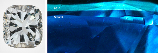 Figure 13. Left: This 0.64 ct Fancy grayish greenish blue stone proved to be a hybrid. Photo by Robison McMurtry. Right: The majority of the sample is natural type Ia diamond, causing a deep blue fluorescence, but boron in the CVD overgrowth layer creates its greenish blue fluorescence.