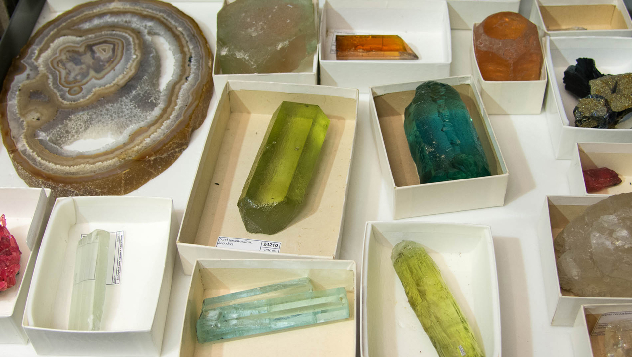 Savinar Collection Specimens Savinar Collection Specimens