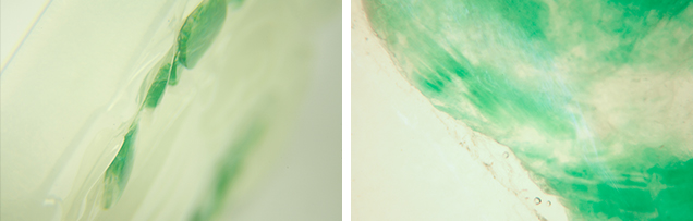 Jadeite photomicrographs. Jadeite photomicrographs.