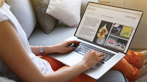 Professional Development Professional Development