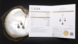 GIA is adding a report comment employing the trade color term “Peacock” for designated colors of cultured pearls from the Pinctada margaritifera black-lipped pearl oyster, commonly known as Tahitian pearls. GIA is adding a report comment employing the trade color term “Peacock” for designated colors of cultured pearls from the Pinctada margaritifera black-lipped pearl oyster, commonly known as Tahitian pearls.