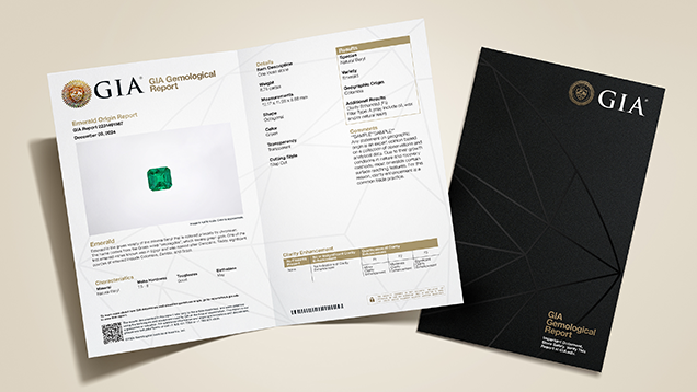 CS Report Conversion Promo CS Report Conversion Promo