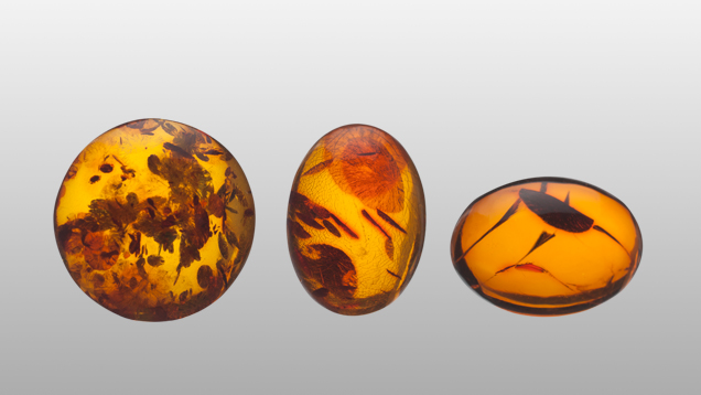 Heat treated amber