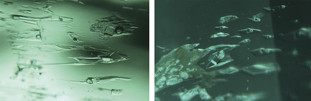 Multiphase inclusions in Davdar, China emerald Multiphase inclusions in Davdar, China emerald