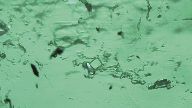 Irregular multiphase inclusions in Davdar emerald Irregular multiphase inclusions in Davdar emerald