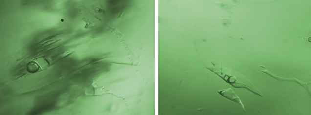Multiphase inclusions in Muzo emerald Multiphase inclusions in Muzo emerald