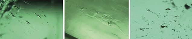 Various multiphase inclusions found in Colombian emerald Various multiphase inclusions found in Colombian emerald