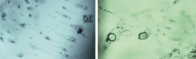 Irregular multiphase inclusions in Kafubu emeralds Irregular multiphase inclusions in Kafubu emeralds