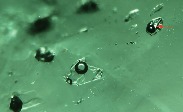 Multiphase inclusions under cross-polarized illumination Multiphase inclusions under cross-polarized illumination