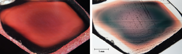 Figure A-2. Sample A110, a copper-diffused feldspar from China, under darkfield (left) and brightfield (right) illumination. The deep red color on the left is the color of the light scattered by the copper nanoparticles (Tyndall effect). The colors on the right are from the light transmitted through the crystal (neither absorbed nor scattered). The red zone on the left perfectly matches the green zone on the right, whereas the red rim on the right is almost invisible on the left. This means the green color is mainly produced by the scattering of red light, while the red color is mostly from the absorption of the copper particles. Photos by Shiyun Jin; field of view 7.1 mm. Figure A-2. Sample A110, a copper-diffused feldspar from China, under darkfield (left) and brightfield (right) illumination. The deep red color on the left is the color of the light scattered by the copper nanoparticles (Tyndall effect). The colors on the right are from the light transmitted through the crystal (neither absorbed nor scattered). The red zone on the left perfectly matches the green zone on the right, whereas the red rim on the right is almost invisible on the left. This means the green color is mainly produced by the scattering of red light, while the red color is mostly from the absorption of the copper particles. Photos by Shiyun Jin; field of view 7.1 mm.