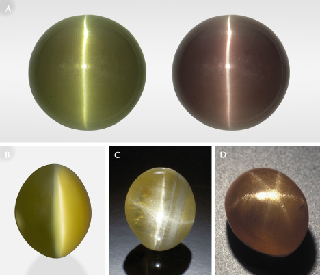 Figure 12. A: A 21.22 ct cat’s-eye alexandrite under fluorescent light (left) and incandescent light (right). B: A 5.39 ct cat’s-eye chrysoberyl displaying a “milk-and-honey” effect; courtesy of Tim Roark, Inc. C: A 1.54 ct four-rayed star chrysoberyl from Sri Lanka. D: A 2.29 ct natural six-rayed star chrysoberyl. Photos by Shunsuke Nagai (A), Orasa Weldon (B), Robert Weldon (C), and Maha Tannous (D). Figure 12. A: A 21.22 ct cat’s-eye alexandrite under fluorescent light (left) and incandescent light (right). B: A 5.39 ct cat’s-eye chrysoberyl displaying a “milk-and-honey” effect; courtesy of Tim Roark, Inc. C: A 1.54 ct four-rayed star chrysoberyl from Sri Lanka. D: A 2.29 ct natural six-rayed star chrysoberyl. Photos by Shunsuke Nagai (A), Orasa Weldon (B), Robert Weldon (C), and Maha Tannous (D).
