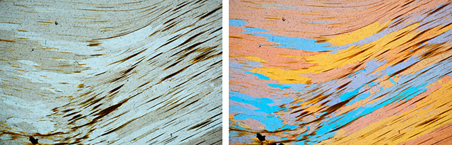 Figure 18. Thin section of tiger’s-eye under cross-polarized light (left) and with a lambda plate inserted to enhance the contrast across grain boundaries (right). The dark brown needles are the iron oxide/hydroxide from weathered amphibole. Photomicrographs by Amir C. Akhavan; field of view 1.5 mm. Figure 18. Thin section of tiger’s-eye under cross-polarized light (left) and with a lambda plate inserted to enhance the contrast across grain boundaries (right). The dark brown needles are the iron oxide/hydroxide from weathered amphibole. Photomicrographs by Amir C. Akhavan; field of view 1.5 mm.