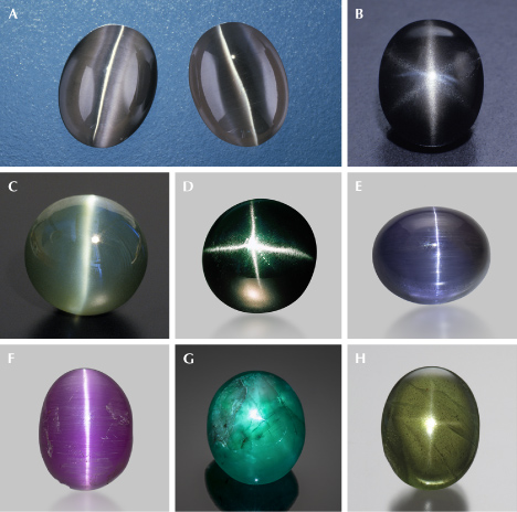 Figure 19. A. A 1.72 ct fiber-optic glass cabochon (left) looks visually identical to a 1.78 ct cat’s-eye sillimanite (right). B: A black star scapolite. C: A 125.46 ct cat’s-eye zircon. D: A four-rayed star diopside. E: A 2.69 ct cat’s-eye tanzanite; courtesy of John I. Koivula. F: A 2.73 ct cat’s-eye pezzottaite from Madagascar; courtesy of John I. Koivula. G: A 25.86 ct star emerald; courtesy of Manuel Marcial de Gomar. H: A 22.21 ct four-rayed star peridot. Photos by Shane F. McClure (A), Robert Weldon (B, G, and H), ICA (C), Mike Havstad (D), and Emily Lane (E and F). Figure 19. A. A 1.72 ct fiber-optic glass cabochon (left) looks visually identical to a 1.78 ct cat’s-eye sillimanite (right). B: A black star scapolite. C: A 125.46 ct cat’s-eye zircon. D: A four-rayed star diopside. E: A 2.69 ct cat’s-eye tanzanite; courtesy of John I. Koivula. F: A 2.73 ct cat’s-eye pezzottaite from Madagascar; courtesy of John I. Koivula. G: A 25.86 ct star emerald; courtesy of Manuel Marcial de Gomar. H: A 22.21 ct four-rayed star peridot. Photos by Shane F. McClure (A), Robert Weldon (B, G, and H), ICA (C), Mike Havstad (D), and Emily Lane (E and F).