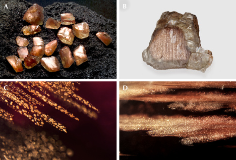 Figure 21. A: Rough Oregon sunstones showing strong schiller from copper platelets. B: A 20 ct rough Oregon sunstone from the Ponderosa mine. C and D: Copper platelets of different sizes and shapes in Oregon sunstone. Photos by Desert Sun Mining & Gems (A), Robert Weldon (B), and Rosie Young (C and D); fields of view 3.57 mm (C) and 5.14 mm (D). Figure 21. A: Rough Oregon sunstones showing strong schiller from copper platelets. B: A 20 ct rough Oregon sunstone from the Ponderosa mine. C and D: Copper platelets of different sizes and shapes in Oregon sunstone. Photos by Desert Sun Mining & Gems (A), Robert Weldon (B), and Rosie Young (C and D); fields of view 3.57 mm (C) and 5.14 mm (D).