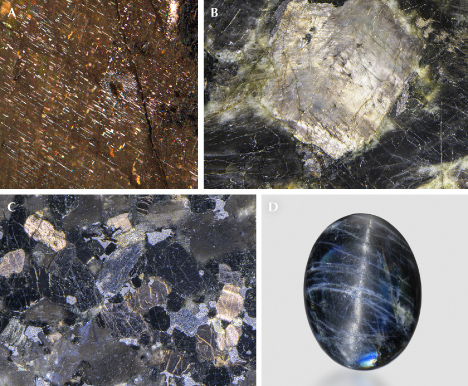 Figure 23. A: Oriented needle inclusions in a labradorite from Ukraine (commercially known as “Volga Blue”). B: A labradorite crystal in a polished anorthosite slab (Volga Blue) showing silver sheen at a different angle from iridescence. C: Labradorite crystals in a gabbro slab from India (commercially known as “black galaxy”) showing golden sheen from oxidized magnetite needles. D: A 14.54 ct labradorite cabochon showing chatoyancy. Photos by Shiyun Jin (A), Nathan Renfro (B and C), and Emily Lane (D); fields of view 4.76 mm (A), 36.5 mm (B), and 9.7 mm (C). Figure 23. A: Oriented needle inclusions in a labradorite from Ukraine (commercially known as “Volga Blue”). B: A labradorite crystal in a polished anorthosite slab (Volga Blue) showing silver sheen at a different angle from iridescence. C: Labradorite crystals in a gabbro slab from India (commercially known as “black galaxy”) showing golden sheen from oxidized magnetite needles. D: A 14.54 ct labradorite cabochon showing chatoyancy. Photos by Shiyun Jin (A), Nathan Renfro (B and C), and Emily Lane (D); fields of view 4.76 mm (A), 36.5 mm (B), and 9.7 mm (C).