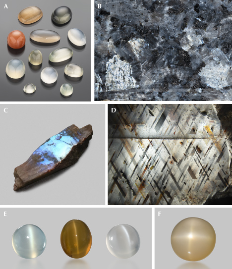 Figure 30. A: Moonstone cabochons of various colors from India (113.79 carats total); in memory of Dr. Frederick H. Pough. B: An iridescent anorthoclase in larvikite from Norway (commercially known as “blue pearl”). C: A 2.6 cm long rough moonstone fragment from the U.S. state of Wisconsin, showing strong blue iridescence. D: A rainbow lattice sunstone from Australia showing white iridescence. E: Three cat’s-eye moonstones (left to right: 13.1, 6.36, and 6.08 ct) exhibiting chatoyancies of different sharpness; right stone gift of Beverly J. Bystricky, courtesy of GIA Museum, nos. 22154, 38696, and 39155. F: A four-rayed star moonstone (17.3 ct) from Madagascar; courtesy of GIA Museum, collection no. 19470. Photos by Emily Lane (A, B, and F), Shiyun Jin (C and D), and Orasa Weldon (E). Figure 30. A: Moonstone cabochons of various colors from India (113.79 carats total); in memory of Dr. Frederick H. Pough. B: An iridescent anorthoclase in larvikite from Norway (commercially known as “blue pearl”). C: A 2.6 cm long rough moonstone fragment from the U.S. state of Wisconsin, showing strong blue iridescence. D: A rainbow lattice sunstone from Australia showing white iridescence. E: Three cat’s-eye moonstones (left to right: 13.1, 6.36, and 6.08 ct) exhibiting chatoyancies of different sharpness; right stone gift of Beverly J. Bystricky, courtesy of GIA Museum, nos. 22154, 38696, and 39155. F: A four-rayed star moonstone (17.3 ct) from Madagascar; courtesy of GIA Museum, collection no. 19470. Photos by Emily Lane (A, B, and F), Shiyun Jin (C and D), and Orasa Weldon (E).