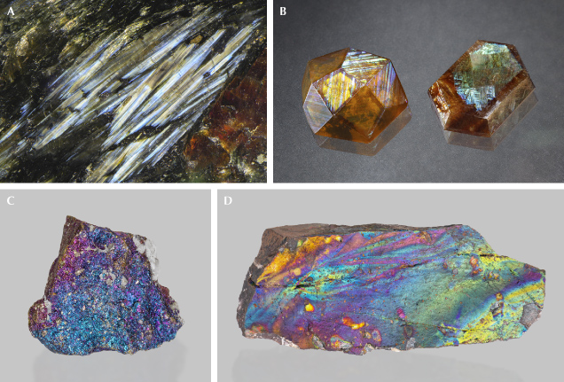 Figure 31. A: Elongated orthoamphibole crystals in Nuummite showing blue and yellow iridescence; field of view 10.29 mm. B: Two polished iridescent andradite crystals from Sonora, Mexico (left, 12 ct; courtesy of GIA’s Dr. Edward J. Gübelin collection, no. 33283), and Nara, Japan (right, 11.39 ct; courtesy of Keiko Suehiro, GIA Museum no. 36136). C: Acid-treated chalcopyrite (7 cm wide) showing purple and blue iridescent tarnish on the surface; courtesy of Rachelle Turnier. D: Iridescent geothite (turgite) from Bukit Besi, Malaysia (12 cm long); courtesy of Rachelle Turnier. Photos by Nathan Renfro (A), Annie Haynes (B), and Emily Lane (C and D). Figure 31. A: Elongated orthoamphibole crystals in Nuummite showing blue and yellow iridescence; field of view 10.29 mm. B: Two polished iridescent andradite crystals from Sonora, Mexico (left, 12 ct; courtesy of GIA’s Dr. Edward J. Gübelin collection, no. 33283), and Nara, Japan (right, 11.39 ct; courtesy of Keiko Suehiro, GIA Museum no. 36136). C: Acid-treated chalcopyrite (7 cm wide) showing purple and blue iridescent tarnish on the surface; courtesy of Rachelle Turnier. D: Iridescent geothite (turgite) from Bukit Besi, Malaysia (12 cm long); courtesy of Rachelle Turnier. Photos by Nathan Renfro (A), Annie Haynes (B), and Emily Lane (C and D).
