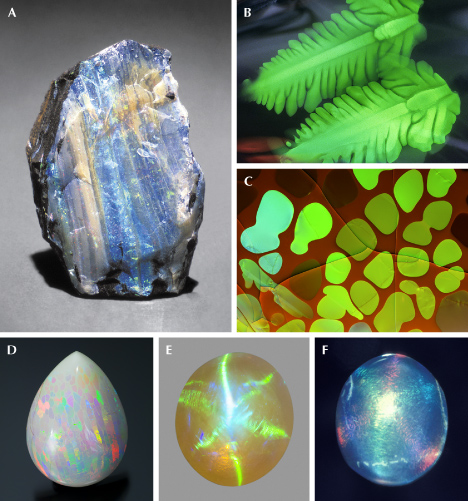 Figure 33. A: A rough opal showing play-of-color in a layered structure. B: Opal from the U.S. state of Nevada, showing two fern-shaped holographic play-of-color patterns. C: Play-of-color in a cell structure; courtesy of John I. Koivula. D: Ethiopian opal showing play-of-color in a digit pattern; courtesy of Opalinda and EyaOpal. E: A 2.39 ct opal showing a six-rayed star with play-of-color. F: Another star opal with different play-of-color on the opposing rays. Photos by GIA staff (A, E, and F), John I. Koivula (B), Nathan Renfro (C), and Robert Weldon (D); fields of view 13.5 mm (B) and 11.28 mm (C). Figure 33. A: A rough opal showing play-of-color in a layered structure. B: Opal from the U.S. state of Nevada, showing two fern-shaped holographic play-of-color patterns. C: Play-of-color in a cell structure; courtesy of John I. Koivula. D: Ethiopian opal showing play-of-color in a digit pattern; courtesy of Opalinda and EyaOpal. E: A 2.39 ct opal showing a six-rayed star with play-of-color. F: Another star opal with different play-of-color on the opposing rays. Photos by GIA staff (A, E, and F), John I. Koivula (B), Nathan Renfro (C), and Robert Weldon (D); fields of view 13.5 mm (B) and 11.28 mm (C).