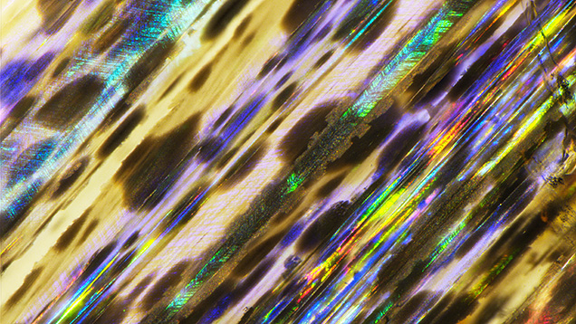 Figure 37. Magnetite inclusions in rainbow scapolite showing iridescence under reflected light. The iridescent color is observed only at certain angles due to diffraction. Photomicrograph by Nathan Renfro; field of view 4.8 mm. Figure 37. Magnetite inclusions in rainbow scapolite showing iridescence under reflected light. The iridescent color is observed only at certain angles due to diffraction. Photomicrograph by Nathan Renfro; field of view 4.8 mm.