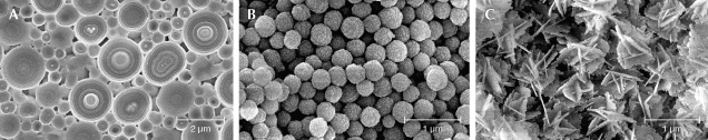 Figure 3. SEM images showing the silica spheres in common opal. Instead of solid concentric spheres (A and B), opal-CT and opal-C may contain lepispheres (spherical aggregates of blades, C). The spheres in common opal scatter light completely randomly due to the irregular arrangement, creating the typical milky appearance. The sizes of the silica spheres in common opal may cover a wide range (A) or be very similar to each other (B and C). Image A from Gaillou (2015) and B and C from Gaillou et al. (2008). Figure 3. SEM images showing the silica spheres in common opal. Instead of solid concentric spheres (A and B), opal-CT and opal-C may contain lepispheres (spherical aggregates of blades, C). The spheres in common opal scatter light completely randomly due to the irregular arrangement, creating the typical milky appearance. The sizes of the silica spheres in common opal may cover a wide range (A) or be very similar to each other (B and C). Image A from Gaillou (2015) and B and C from Gaillou et al. (2008).