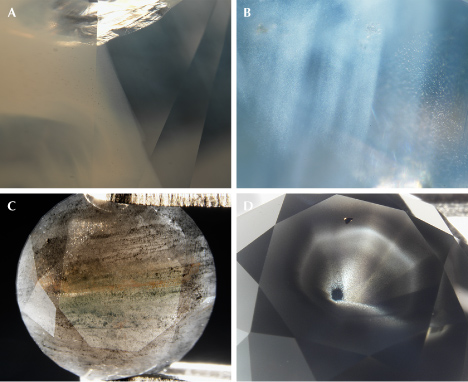 Figure 5. Cloudy regions in fancy white diamonds (top) and dark-colored particle and cloud inclusions in fancy black diamonds (bottom). Photomicrographs by Garrett McElhenny (A) and GIA staff (B–D); fields of view 2.3 mm (A), 1.6 mm (B), 6.7 mm (C), and 6.9 mm (D). Figure 5. Cloudy regions in fancy white diamonds (top) and dark-colored particle and cloud inclusions in fancy black diamonds (bottom). Photomicrographs by Garrett McElhenny (A) and GIA staff (B–D); fields of view 2.3 mm (A), 1.6 mm (B), 6.7 mm (C), and 6.9 mm (D).