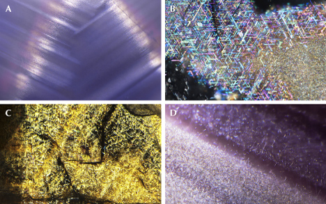 Figure 8. A: Fine rutile silk in a star sapphire. B: Rutile needles in a Burmese sapphire. C: Dense hematite and/or ilmenite needles in a sapphire from Kenya. D: Needle inclusions in a 12-rayed star sapphire. Photomicrographs by Nathan Renfro (A, C, and D) and Victoria Liliane Raynaud-Flattot (B); fields of view 4.62 mm (A), 0.97 mm (B), 2.44 mm (C), and 0.91 mm (D). Figure 8. A: Fine rutile silk in a star sapphire. B: Rutile needles in a Burmese sapphire. C: Dense hematite and/or ilmenite needles in a sapphire from Kenya. D: Needle inclusions in a 12-rayed star sapphire. Photomicrographs by Nathan Renfro (A, C, and D) and Victoria Liliane Raynaud-Flattot (B); fields of view 4.62 mm (A), 0.97 mm (B), 2.44 mm (C), and 0.91 mm (D).